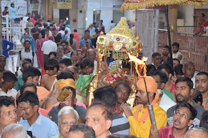 Tulsi Vivah Photo - 2019